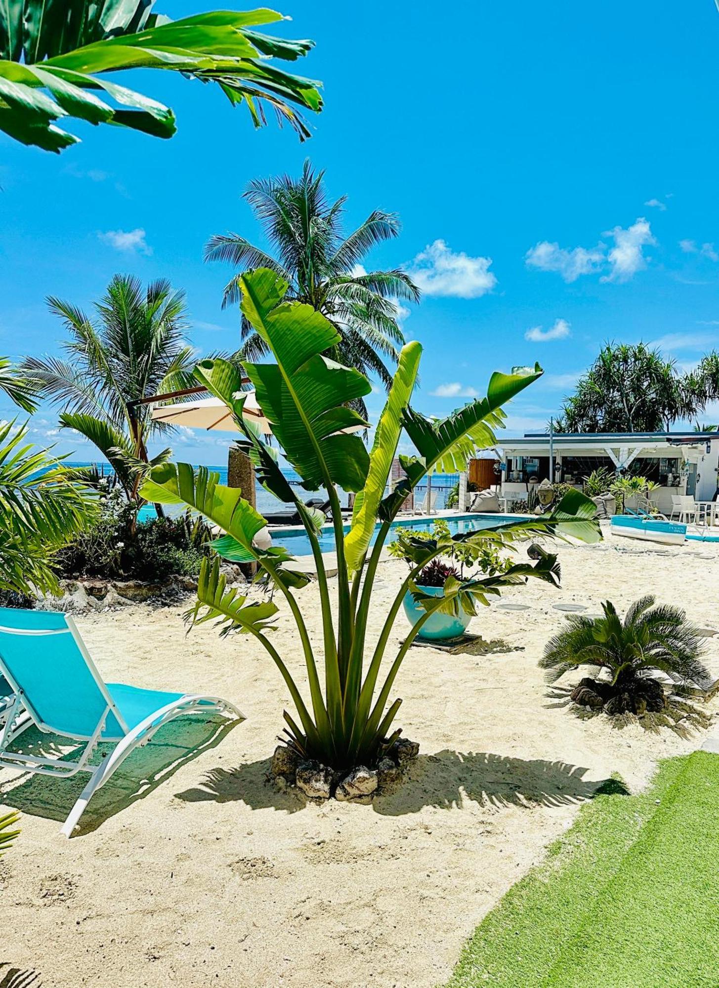 Pension Irivai, Appartement Rava 1 Chambre Bord De Mer Uturoa Esterno foto